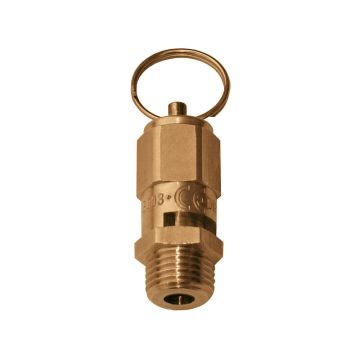 Sicherheitsventil 1/4"