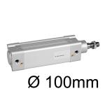 Kategorie Kolben-Ø 100mm image